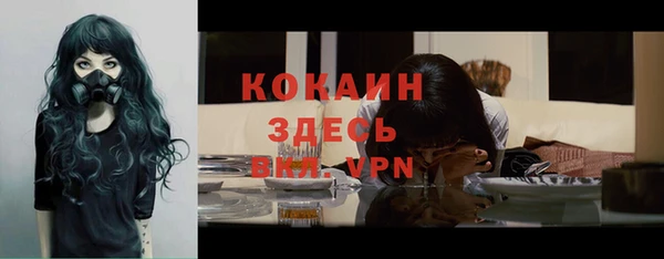 твердый Слюдянка